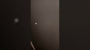 Студия в ЖК Цветной город