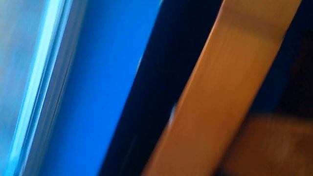 My cat Crystal just failed trying to get out the window lol😾 смотреть онлайн