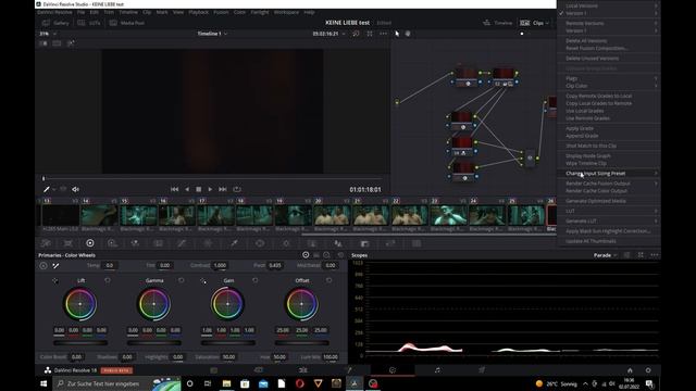 Davinci Studio 18 (Beta) Colorcorrection/grading with Nodetree - BMPCC 4K + Sigma 18-35 1.2 смотреть онлайн