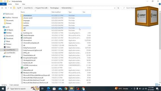 Contact not found|WaSender 3.3.0 Chrome Driver Error|Your chrome driver & chrome version is not sam