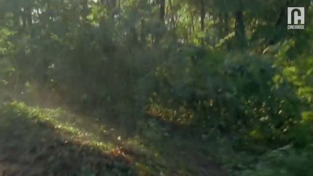 Hot and young fiance feels attracted towards a rich old man | Romance | Dracula's Kiss смотреть онлайн