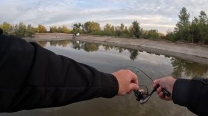 Мормышинг с CF Nano zero Air на шнур DUEL THE ONE PF NEW 0.1pe