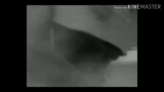 In ricordo di Luis Sepulveda - I cavatori смотреть онлайн