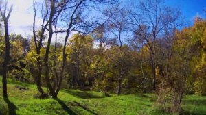 Cinecan 4k FPV