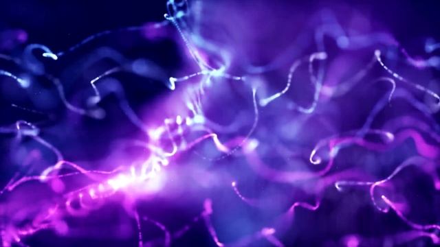 Purple Strings Animated Wallpaper MyLiveWallpapers com смотреть онлайн