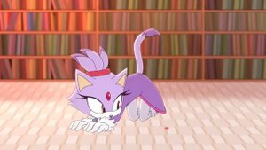 Forget Pogo Meme Sonic Couples I Sonic Animation l Music At the beginning of the release