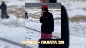 CUPSIZE – ПАЛАТА 136