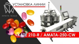 Дозирующее и контролирующее оборудование для кондитерских изделий. #AMATA КАТЕ-210-R. #AMATA 250CW