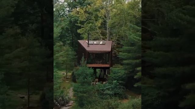 Тайна лесной избушки с панорамным видом