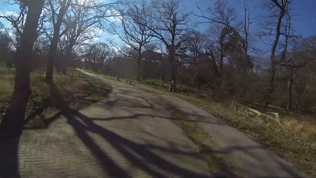 Sunny Saturday Ride - cycling in The Netherlands смотреть онлайн