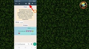 Как восстановить удаленные чаты WhatsApp новые правила 2024