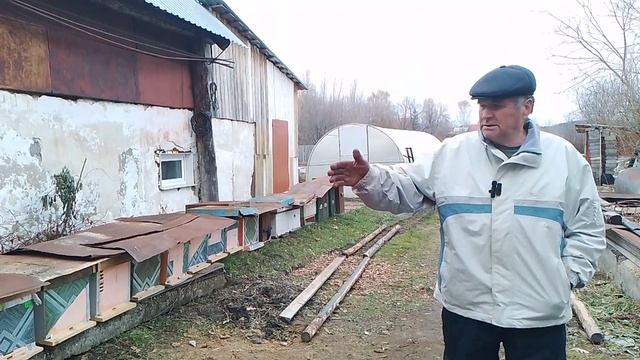 Заносим пчёл смотреть онлайн