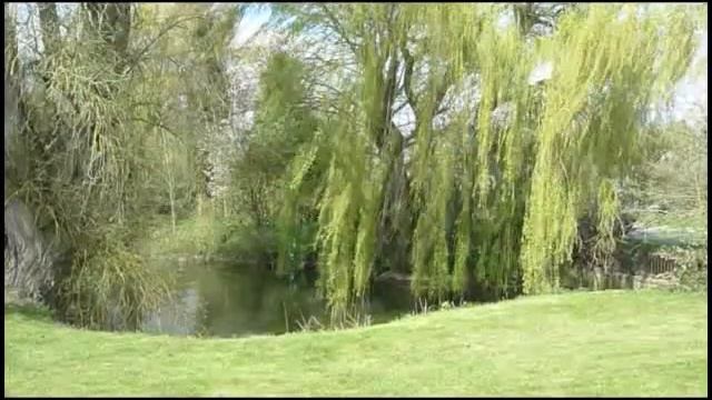 Pond music test 2 смотреть онлайн