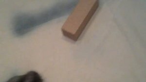 Почему хомяки чешутся