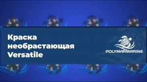 Необрастающая краска Versatile: защита подводных частей судна от морских растений и водорослей