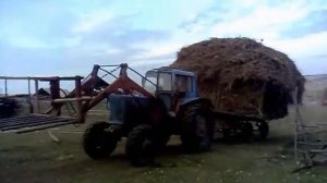 МТЗ 82 сеновозка