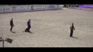 Михаил и Урмас. Чемпионат России по IGP - 3. Раздел (С).