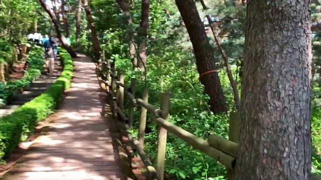Korea Virtual Tour 2021 | Namsan Mountain Park in Seoul | virtual travel | relaxing nature sounds смотреть онлайн