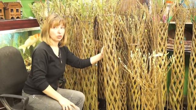 Видео-обзор. Живое плетеное дерево из ивы. смотреть онлайн