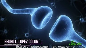 Как работает мозг подростка