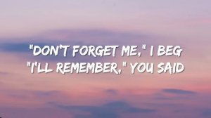 Adele - Someone Like You (Lyrics)