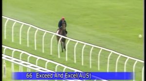 Exceed and Excel Filly Breezing at Doncaster Bloodstock Sales