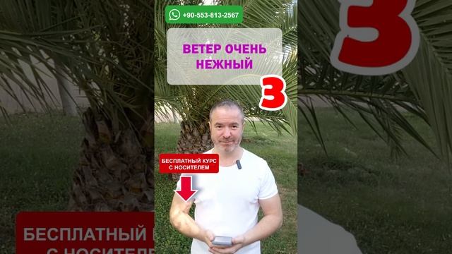 Тренажёр 114: Освойте английский язык за несколько уроков