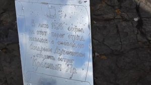 Лошадь белая.