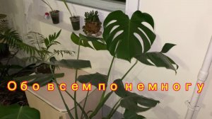 Обо всем по немногу!