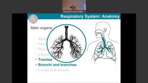 CG BIO202 / Wk 8 Weekly Live Online Meeting 03/11/2022 AM - Respiratory System