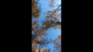 Павловский Посад. парк "Меленки"