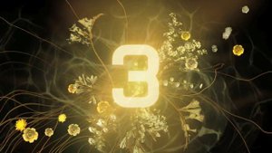 Dolby® Digital Cinema Countdown Intro 02.