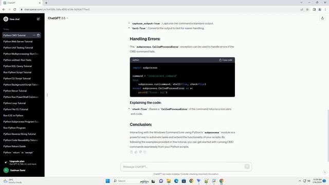 python run windows command line