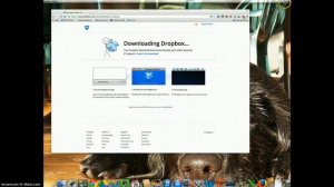 Downloading Dropbox