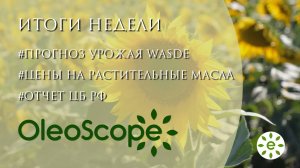 Итоги недели: октябрьский отчет WASDE, прогнозы урожая масличных от ЦБ РФ и динамика цен на масла