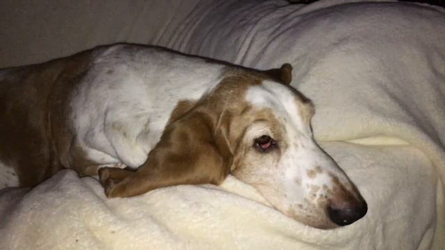 4k test from iPhone 6s iMac upload смотреть онлайн