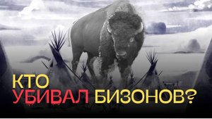 Кто убил всех бизонов?