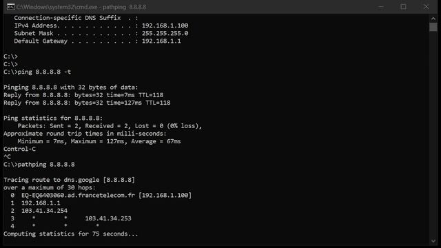 Basic Network Commands Ping, PathPing, Nslookup смотреть онлайн