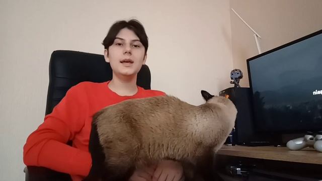 Обзор на Spotify смотреть онлайн