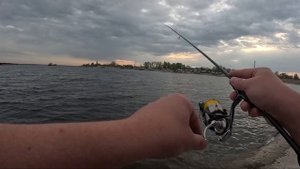 DUO Tetra Works React TWRT 65 Рыбалка у дома ( Street Fishing )