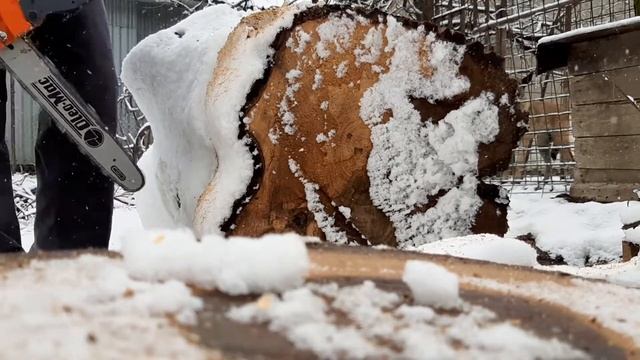 Oleo Mac Test Tronçonneuse GSH 400 Sur Un gros tronc d'arbre смотреть онлайн