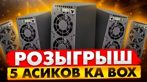 РОЗЫГРЫШ 5 АСИКОВ KA BOX | КАК ПРИНЯТЬ УЧАСТИЕ?