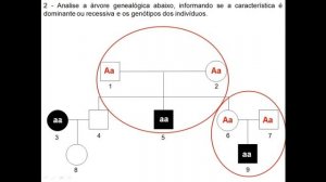 HEREDOGRAMAS - Exercícios e Dicas
