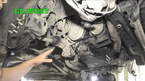 Полезные советы по Фрилендер 2. Часть 1