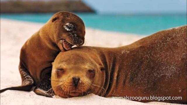 Warm Ways, a Vocal Cover on a 1970s Fleetwood Mac classic смотреть онлайн