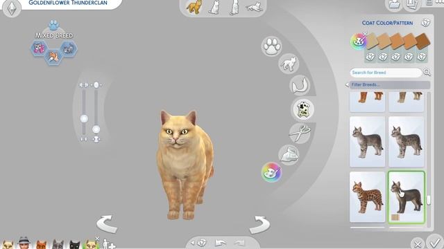 Create-A-Pet: Sims 4| 100 Warrior Cats Challenge| Ep. 16| Goldenflower! смотреть онлайн