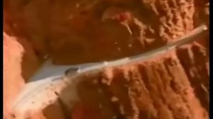 SsangYong Musso 1996 Promo (korea)