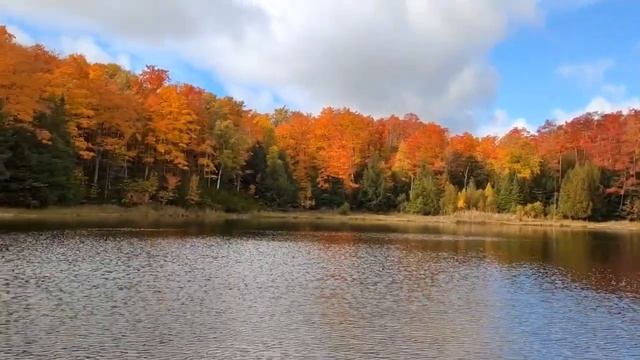 Mono Cliff Park смотреть онлайн