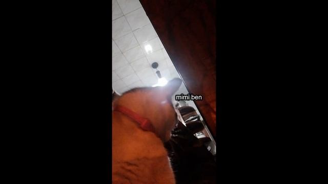 I see you through my window смотреть онлайн