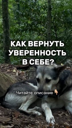 КАК ВЕРНУТЬ УВЕРЕННОСТЬ к СЕБЕ